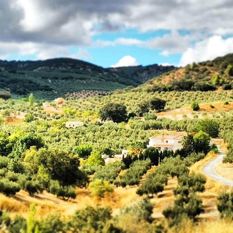 Cortijo Pennymaria Poolside Apartment Near Montefrio With Stunning Views מראה חיצוני תמונה