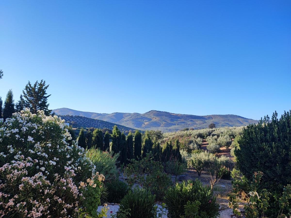Cortijo Pennymaria Poolside Apartment Near Montefrio With Stunning Views מראה חיצוני תמונה